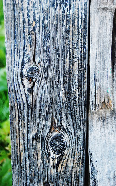 Weathered Wood at Barn's Edge