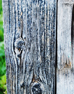 Weathered Wood