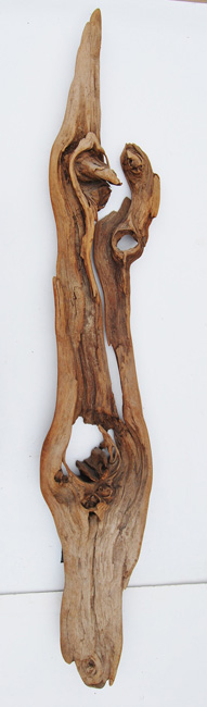 Universal Driftwood