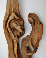Universal Driftwood Close Up