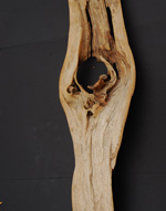 Universal Driftwood Bottom