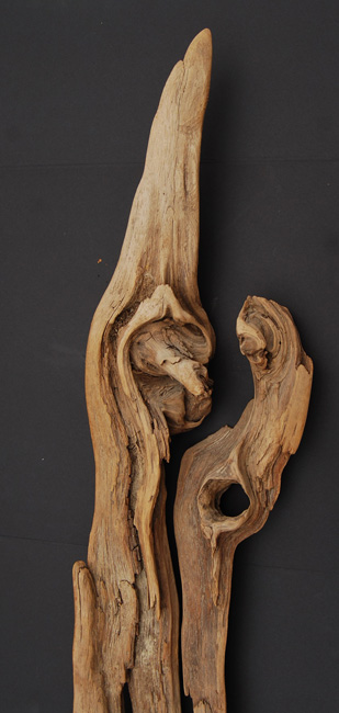 Universal Driftwood