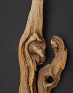 Universal Driftwood Top
