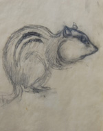 Chipmunk