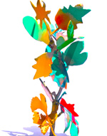 Favorite Fall Trees, 2023